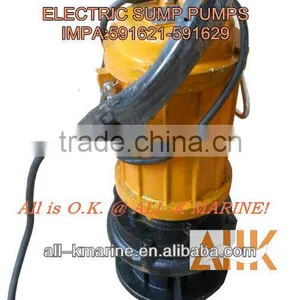 Electric Sump Pumps thumbnail-1