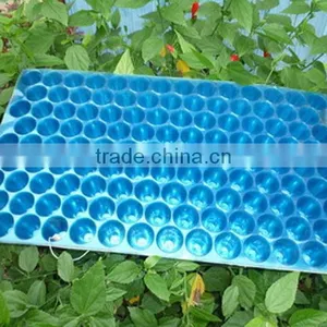 New Products High Reflective Competitive Price Black Seedling Trays thumbnail-1