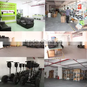 Leadway Lithium Battery Li-ion Battery Electric Chariot Pizza Scooter+elettrici+cina(w5l-117) thumbnail-6