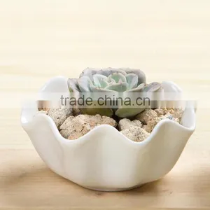 Creative Zakka White Ceramic Indoor Planters for Succulents thumbnail-2