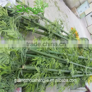 SJLJ013531 Indoor Outdoor Decorative Artificial Bamboo Fake Evergreen Bamboo for Decoration thumbnail-3