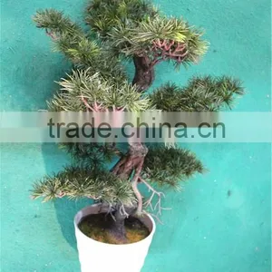 Home Garden Decoration 50cm to 160 cm Hight Small Indoor Canadian Artificial Green Pot Plastic Similar Pine Trees ELSPZ02 0905 thumbnail-1
