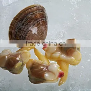 IQF Surrf Clam/short Necked Clam Meat thumbnail-2