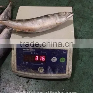 300-400g Frozen Fish thumbnail-5