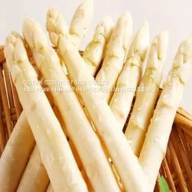 Best Price Fresh White Asparagus thumbnail-2