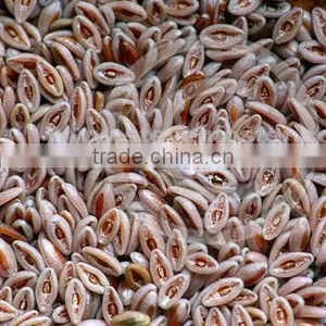 Whole Psyllium Seeds thumbnail-1