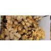 Ginger thumbnail-1
