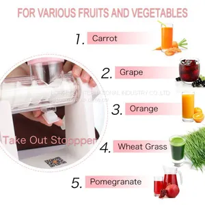 MULTIFUNCTIONAL MANUAL JUICER FOR HOME USE D598 thumbnail-1