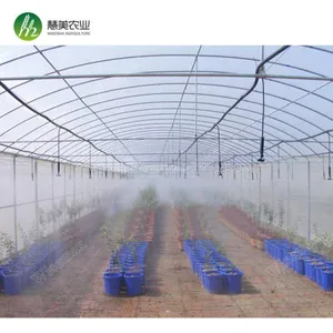 Simple Galvanized Steel Frame Single Span Polyethylene Film Greenhouse For Sale thumbnail-4