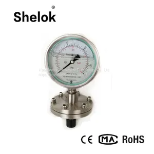 Mpa/mbar Capillary Diaphragm Pressure Gauge thumbnail-2