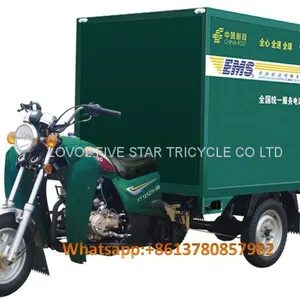 Gasoline Tricycle LAST MILE EXPRESS Cargo Loader Lovol Three Wheeler Mali Ethiopia Ghana Bukina Faso Tanzania Kenya Senegal Togo Benin Nigeira Mauritania Angola Burundi Chad Cameroon C ô te D'Ivoire Gabon Guinea Mozambique Rwanda Congo Uganda Zimbabwe thumbnail-1