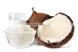 Best Price Fresh Coconut for Export From Vietnam/ Fresh Young Coconut thumbnail-1