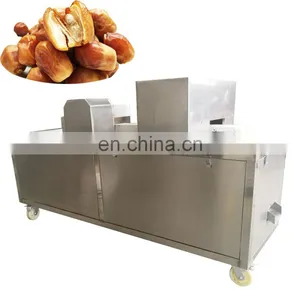 Dates Pitting Machine for Jujube Seeds Removing Processing 5000kg per Hour Processing Equipment thumbnail-3