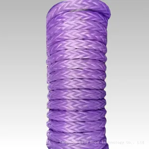 High Strength UHMWPE Rope 12 Strands Synthetic Braided Rope Sk75 Hmpe Rope for Sports EquipmentLDMAX-12 thumbnail-2