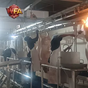 Pig Whole Slaughterhouse Line Machine Swine Abattoir Machinery Hog Butchery Machine Pork Meat Processing Plant CE Certification thumbnail-2