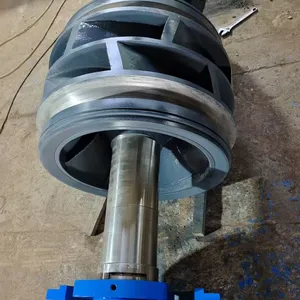 300S-58 Rotor Assembly Stable Operation Rotor Assembly Shanghai Liancheng Double Suction Pump thumbnail-3
