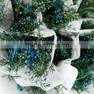 Colorful OEM Decorative Chimonanthus thumbnail-3