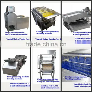 Cherry Seed Removing Machine / Cherry Pitting Machine thumbnail-6