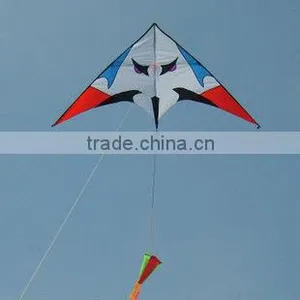 2m Delta Kite thumbnail-1