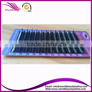 Top Quality Wholesale Price Private Label 2D/3D/6D Silk Individual Eyelash Extension thumbnail-2
