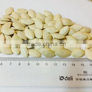 Bulk Vegetable Seeds China Shine Skin Pumpkin Seeds Grade a thumbnail-5