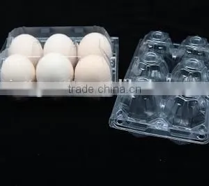 High Quality Plastic 6 Holes Egg Tray thumbnail-2