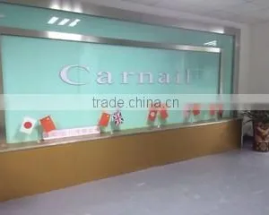 Guangzhou Carnail Electronic Technology Co., Ltd. company overview - view 1 thumbnail