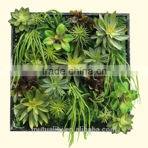 Beautiful Photo Frames Artificial Succulents Vertical Plant Wall thumbnail-1