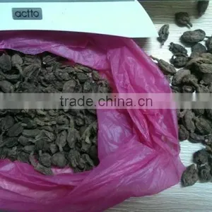 Spices and Herbs, New Crop Black Cardamom With Best Price thumbnail-5