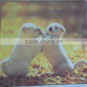 100% Polyester Designer Sofa Cushion Cover Replacement thumbnail-1