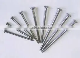 Low Price Good Quality Common Nail thumbnail-1