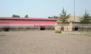Shijiazhuang Tianyihengtong Textile Co., Ltd. company overview - view 1 thumbnail