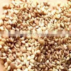Natural Sesame Seeds thumbnail-1