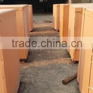 Beech Veneer Plywood, Good Quality thumbnail-2