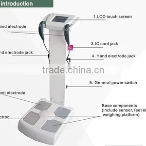 Professional Health Test and Body Composition Analyzer thumbnail-3