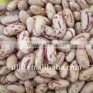 2011 New Crop Bean With Long Shape thumbnail-1