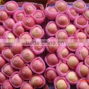 2012 Delicious Fuji Apple thumbnail-1