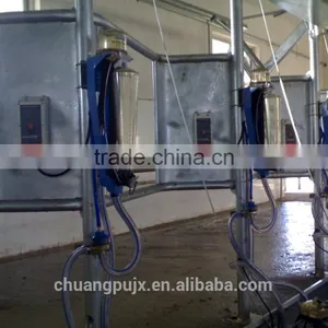 Herringbone Milking Parlor 2x10 With Milk Flow Meter Cow Milking Parlor thumbnail-4