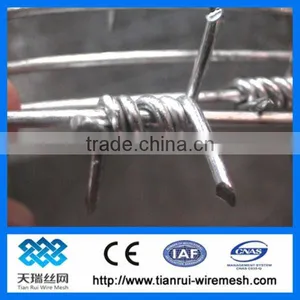 Barbed Wire Designs thumbnail-1