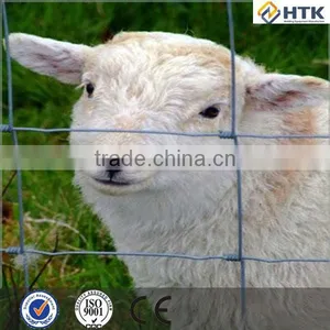 ISO9001 High Tensile Sheep Wire Mesh Fence(hot Sale) thumbnail-3