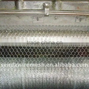 2016 Hot Sale /low Price and High Quality /hexagonal Wire Netting/chicken Mesh From Anping Factory thumbnail-5
