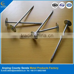Zinc Galvanized Roofing Nails / Cheap Price Iron Wire Nails thumbnail-1
