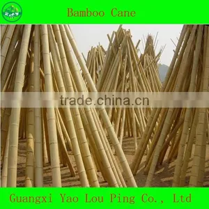 Fencing Bamboo Cane Gun Poles thumbnail-1