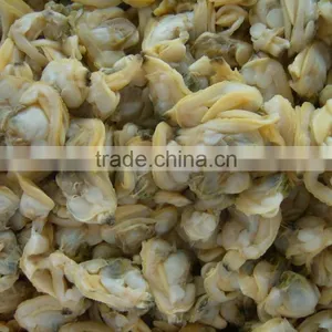 Tasty and Delicious Best Frozen Baby Clam Without Shell Iqf thumbnail-2