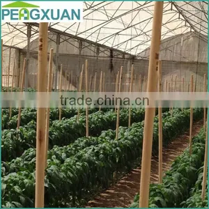 Custom Wholesale Tapered End Garden Wooden Plant Support Stick thumbnail-1