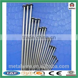 Fine Head Common Nail Product From China Supplier thumbnail-1