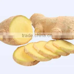 Ginger Tea With Honey Instant Granulated Flavour Herbal Ginger Tea 7g*20 Bags /13g*10 Bags /18g*10 Bags thumbnail-6