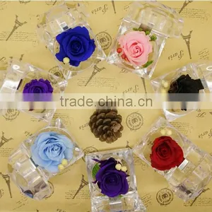 Natural Rose Preserved Flower for Thanksgiving and Christmas Gift thumbnail-3