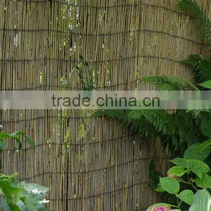 Reed Screen thumbnail-1