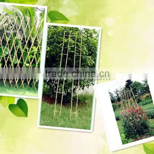 Bamboo Canes Garden Trellis thumbnail-1